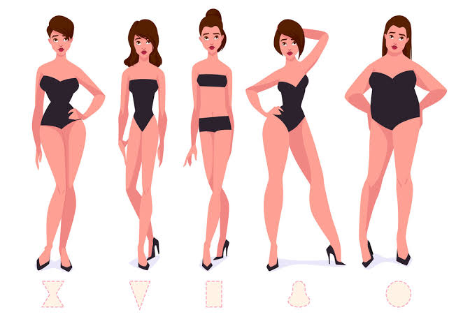 Female body shapes 