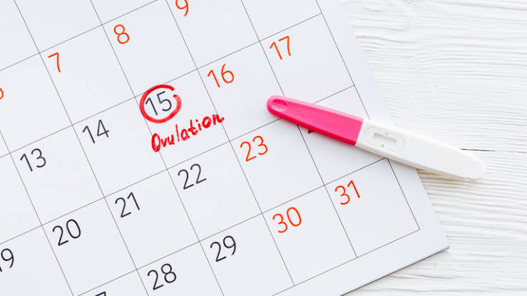 How to Calculate Ovulation