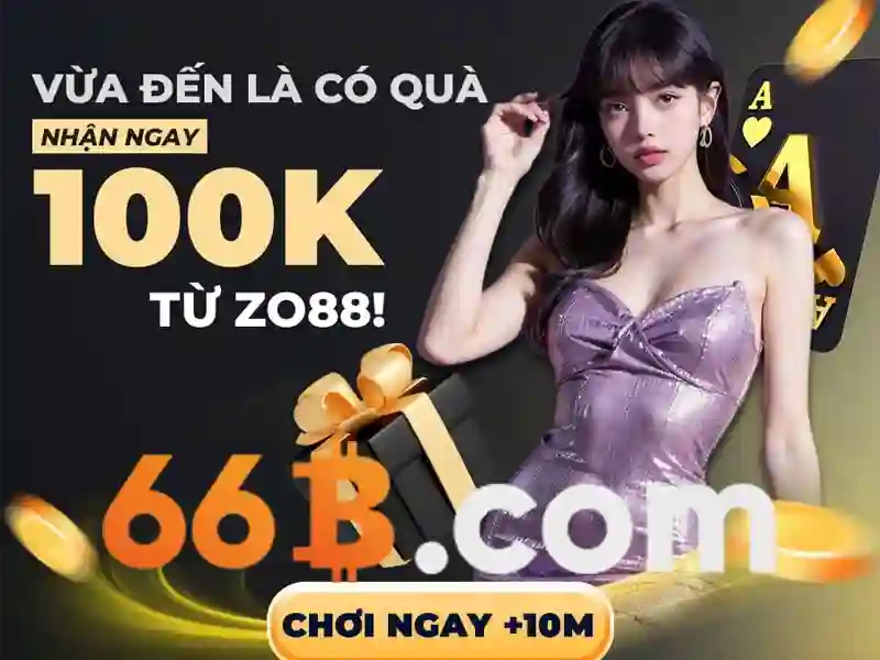 66b: một cái nhìn tổng quan