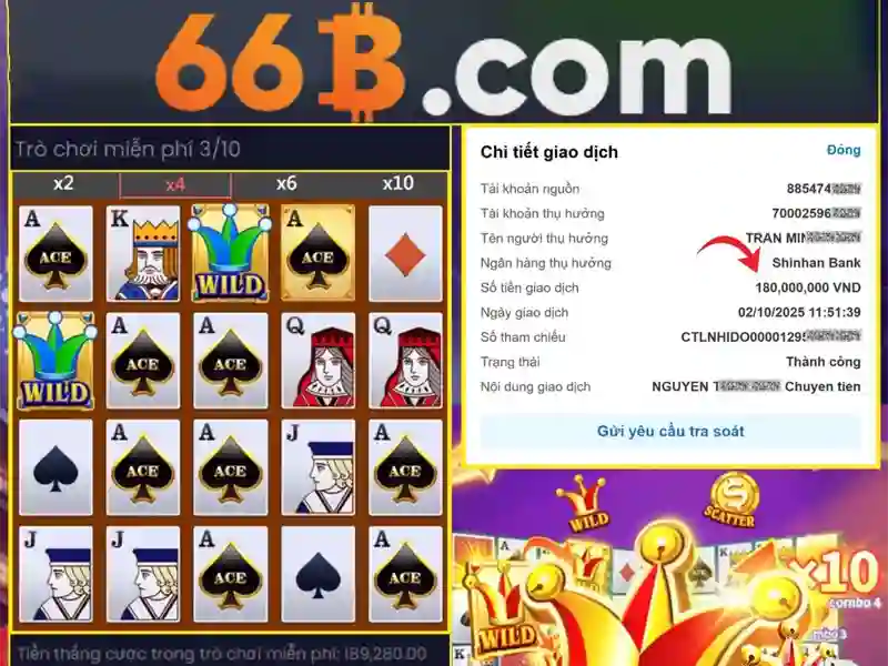 Giới thiệu về 66B\n\n