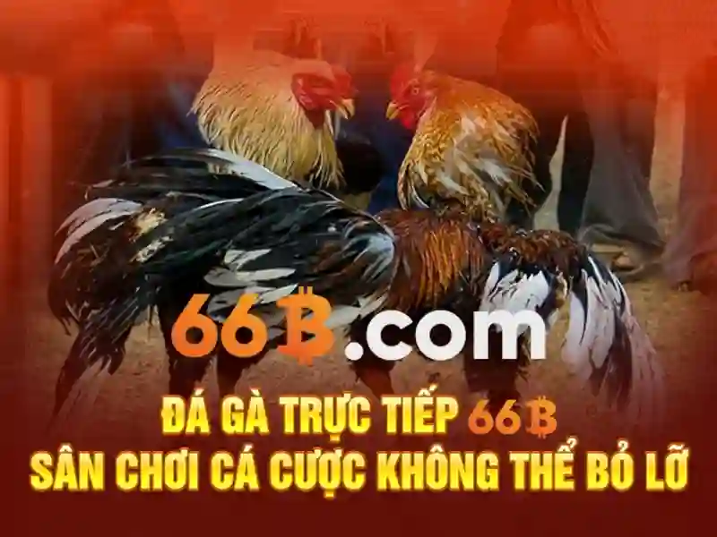 Việt Vị Trong Bóng Đá
