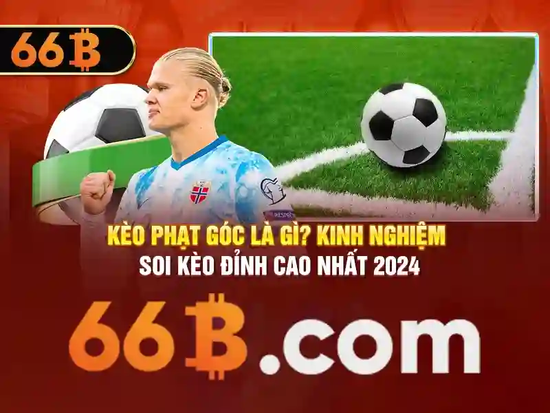 Ket luan va loi moi trai nghiem cua 66b