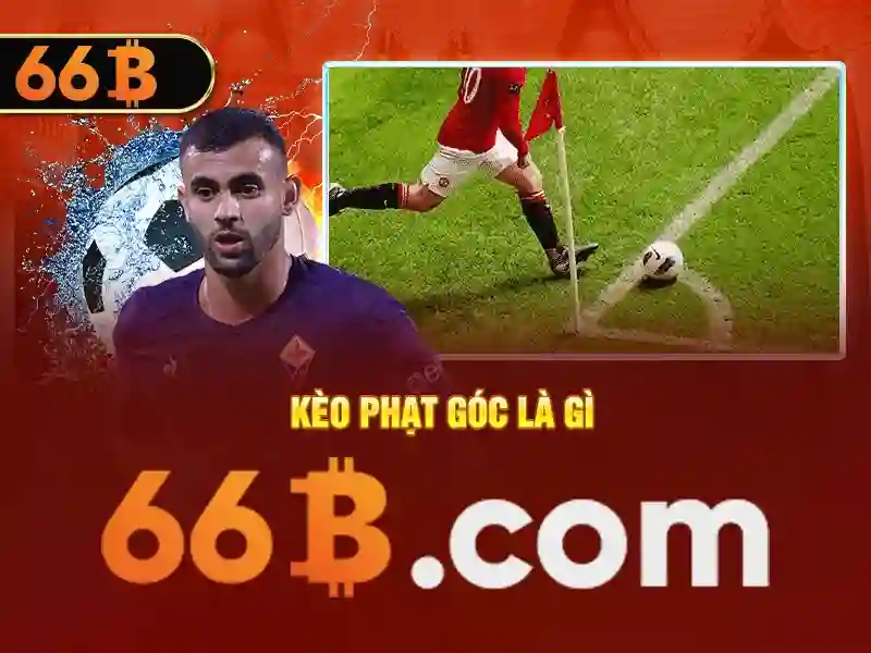 66B là gì?