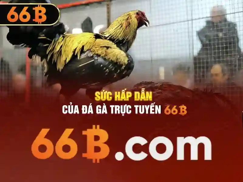 Giới thiệu về 66b