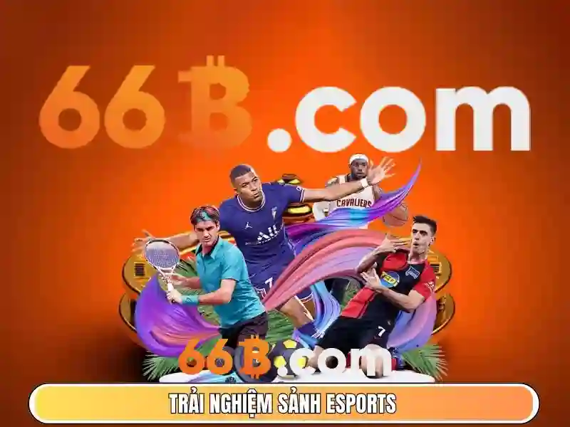 Đặc điểm chính