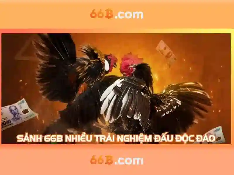 Kiến trúc và đặc điểm chính\n