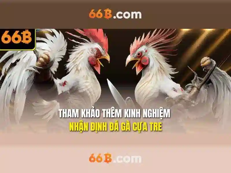 tiến lên 66b – chủ đề tổng quan và giá trị cốt lõi