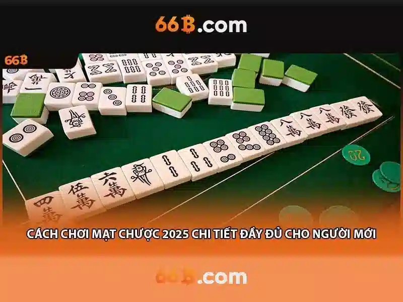66b là gì?\n