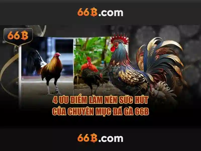 Kiến trúc của 66B
