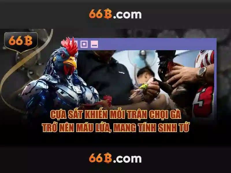 Kiến trúc và dữ liệu huấn luyện\n\n