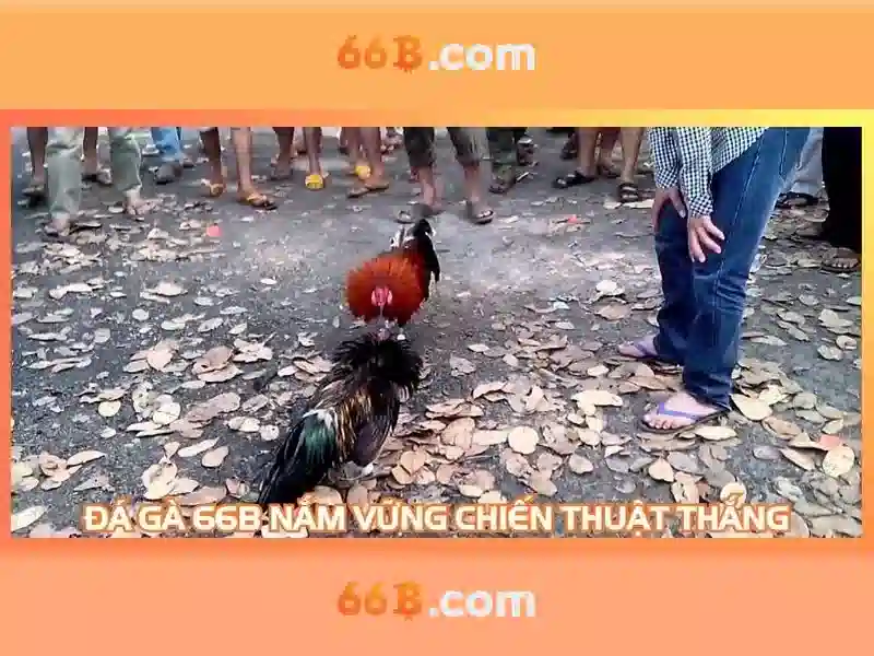 66b nguyễn sỹ sách tân bình – Tóm tắt chủ đề và giá trị cốt lõi