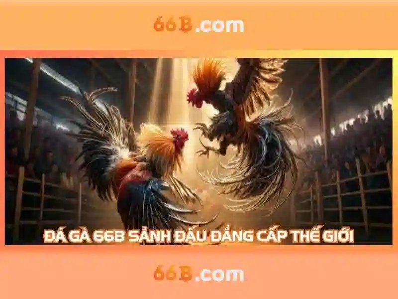 Ứng dụng thực tiễn\n\n