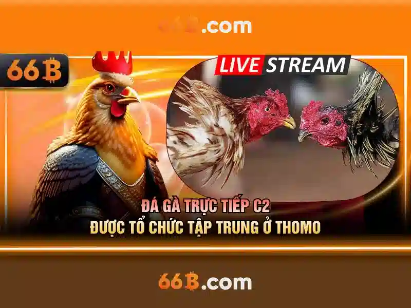Ứng dụng phổ biến\n