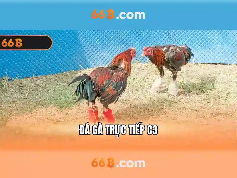 66b uy tín – Tổng quan chủ đề và giá trị cốt lõi