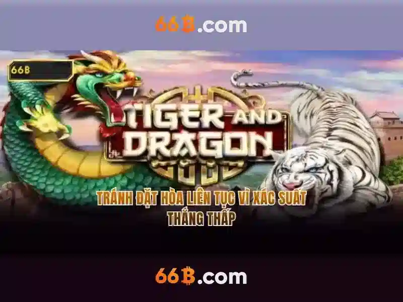 64b 66b – Sản phẩm và dịch vụ cốt lõi