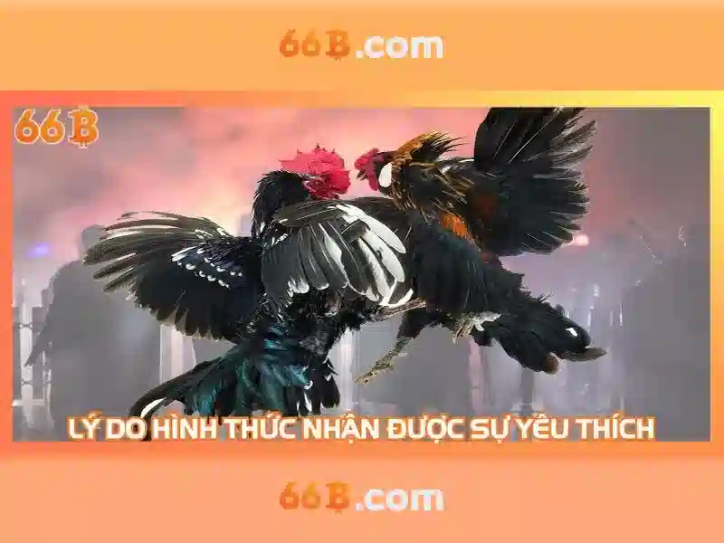 Việt Vị Trong Bóng Đá