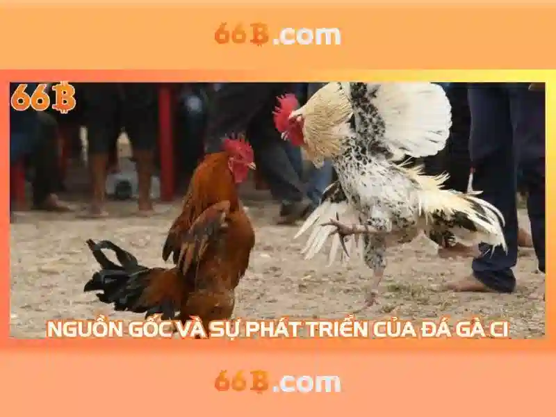 66b và nguồn gốc của ký hiệu