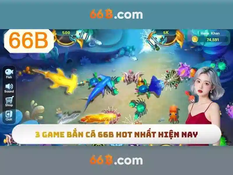 66b là gì?\n