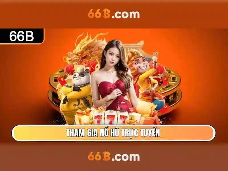 66B là gì?