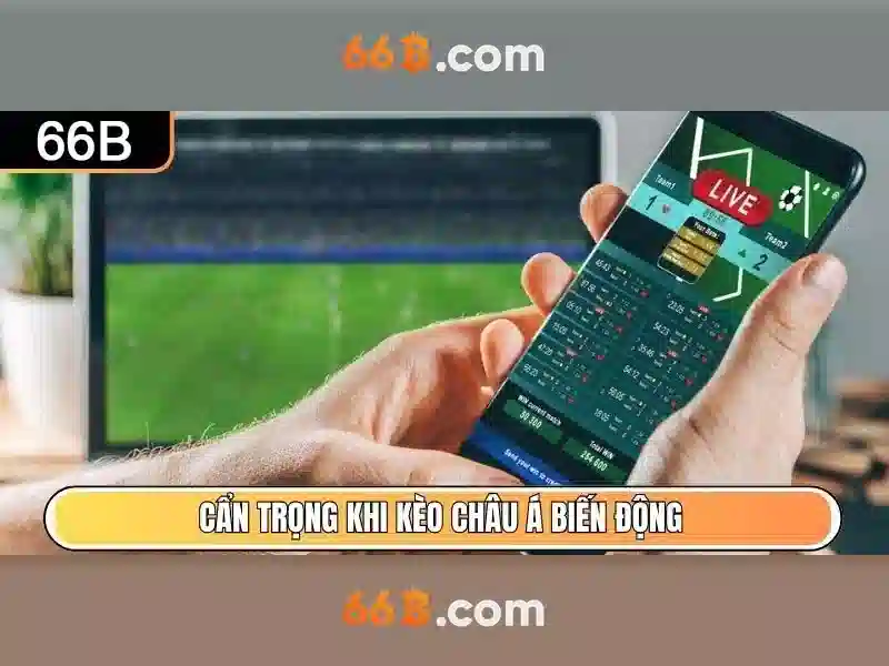 Kiến trúc và khả năng