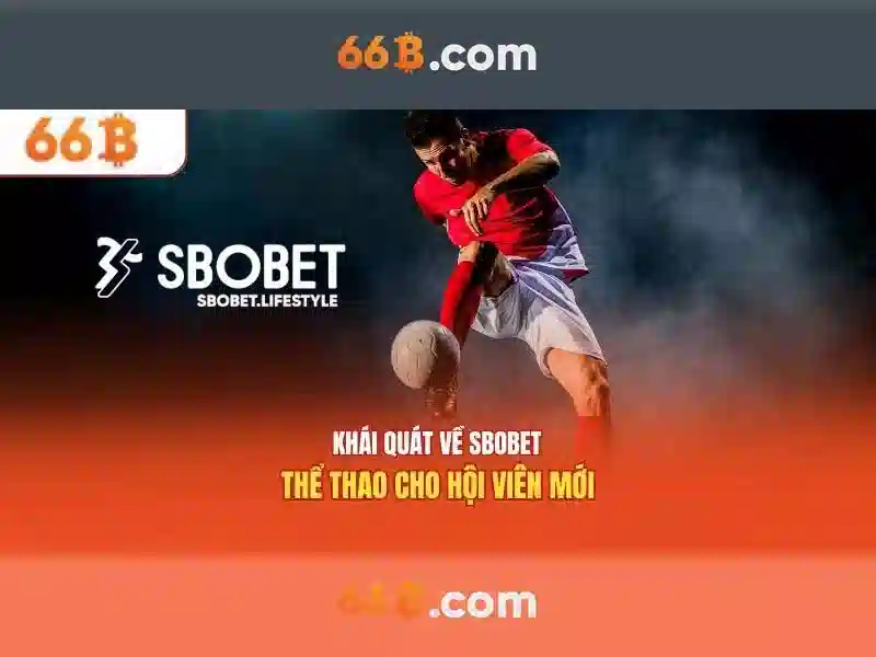 Đặc điểm kỹ thuật của 66B