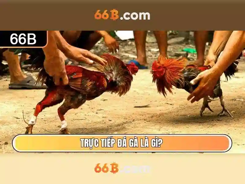 Khái niệm cơ bản về mô hình 66B