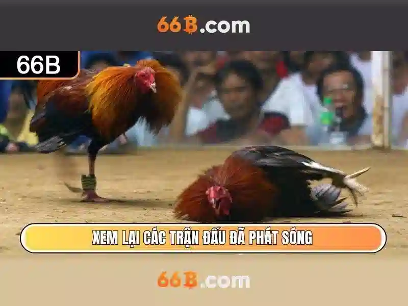 66b võ thị sáu – phường 6 – quận 3 – hồ chí minh – Tổng quan và giá trị cốt lõi