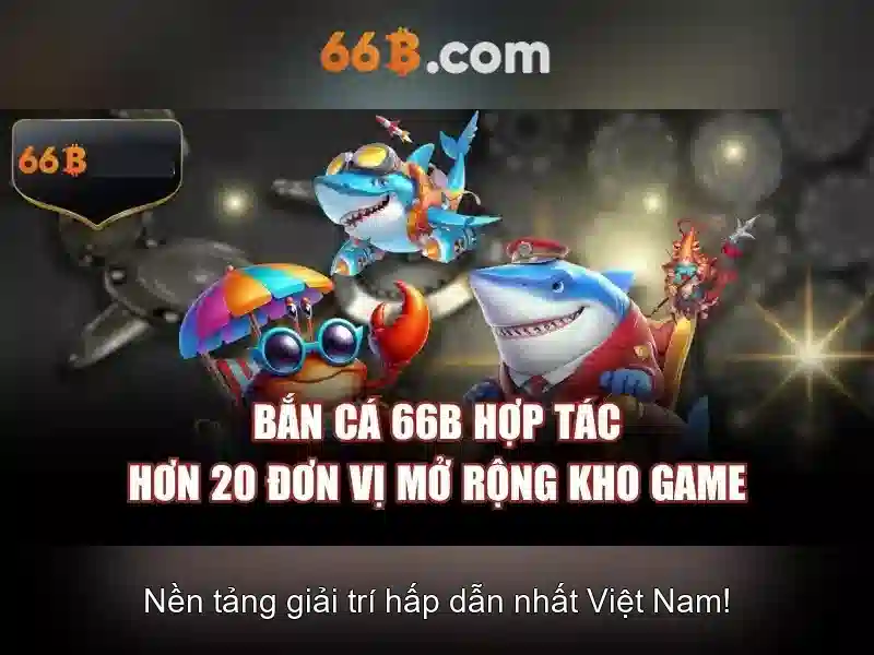 66B là gì?