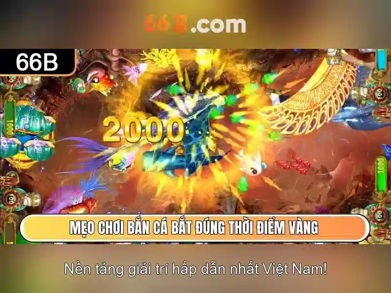 Kiến trúc và khả năng