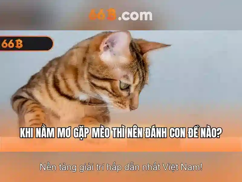 Việt Vị Trong Bóng Đá