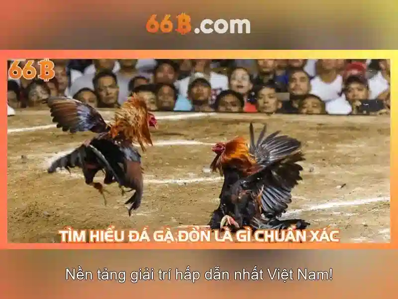 Việt Vị Trong Bóng Đá