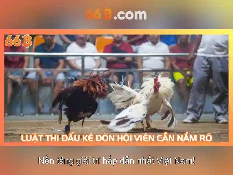Việt Vị Trong Bóng Đá
