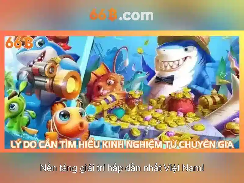 Ứng dụng tiềm năng và thách thức của 66b
