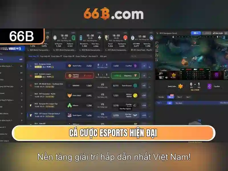 Định nghĩa và cách nhận diện 66b