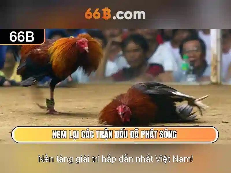 Ứng dụng và triển khai