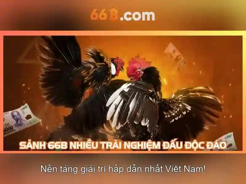 66b và hành trình của một mô hình ngôn ngữ lớn