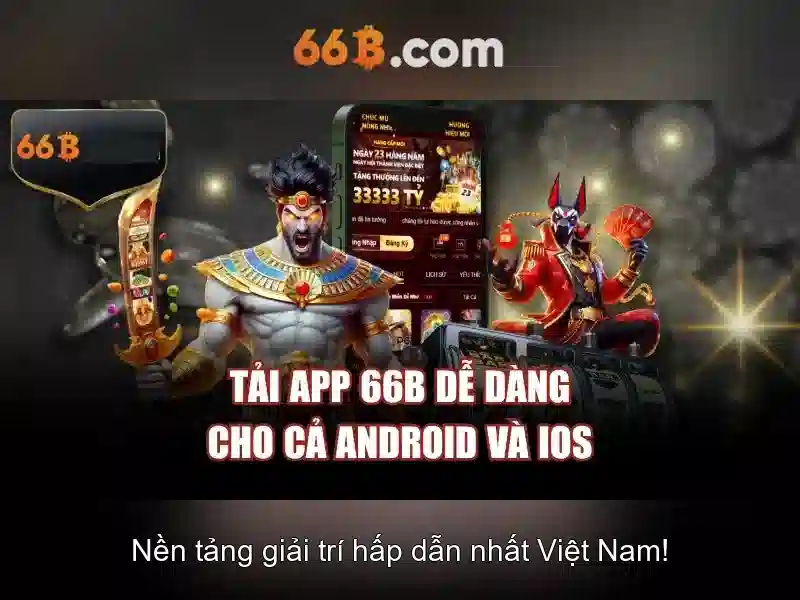 66B là gì?