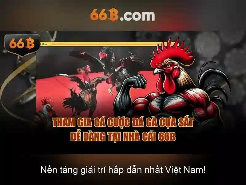 66b là gì?