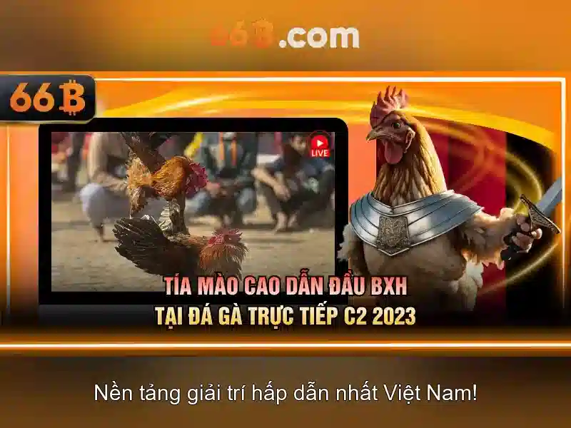 phỏm 66b – lợi thế cạnh tranh