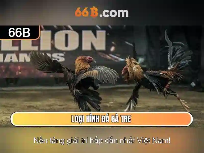 Lựa chọn áo ngực phù hợp với 66B