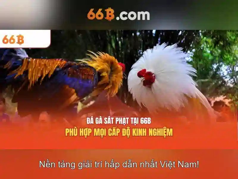Việt Vị Trong Bóng Đá