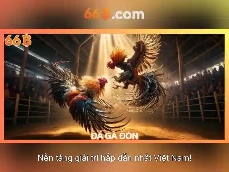 Khả năng và giới hạn của 66B