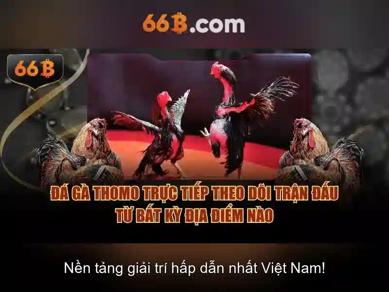 Việt Vị Trong Bóng Đá