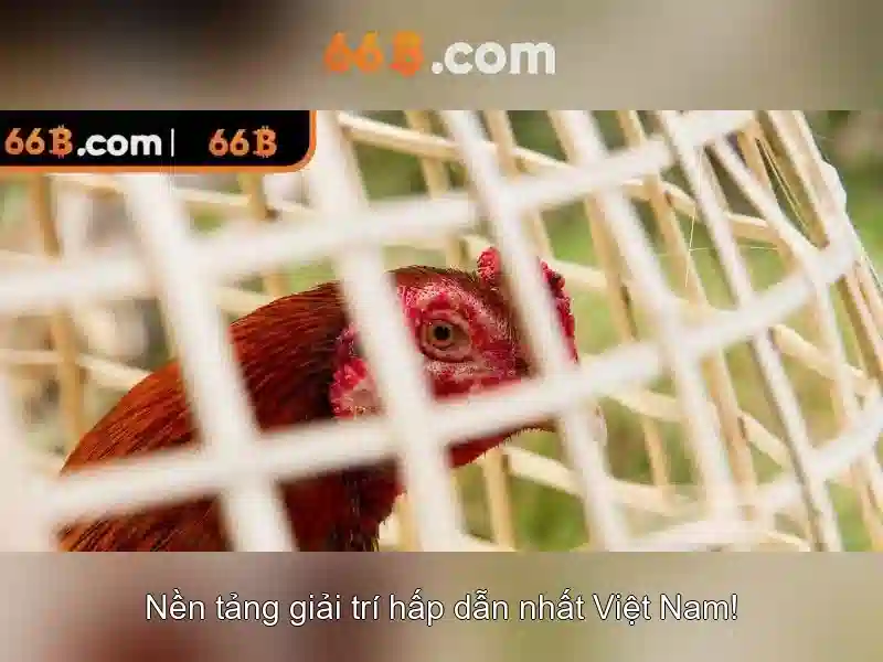 Ứng dụng và triển khai