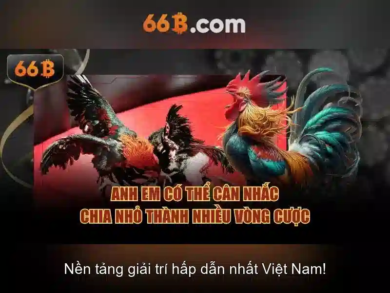 Ứng dụng và thực thi