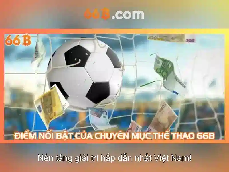 66B là gì