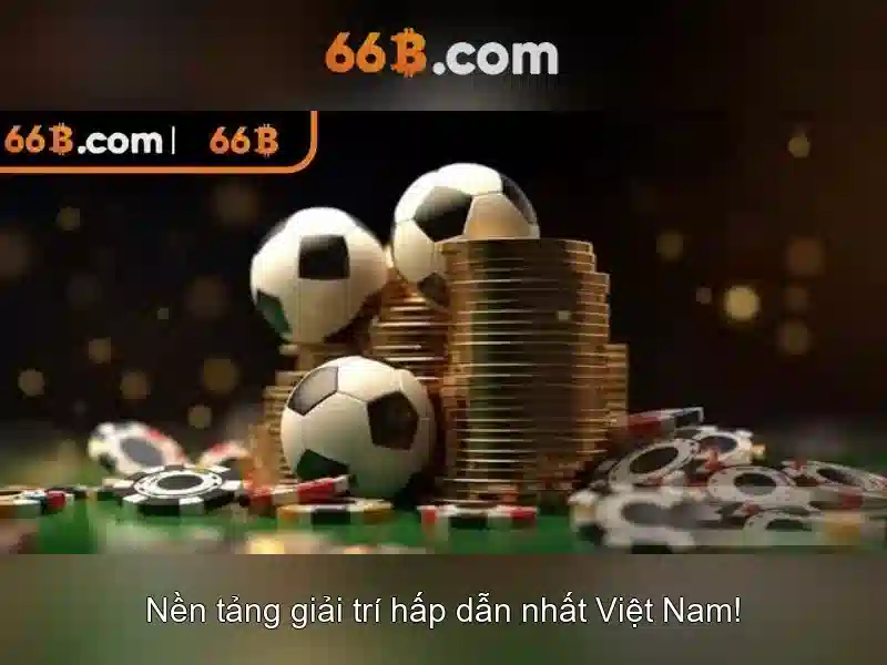 66b là gì?\n\n