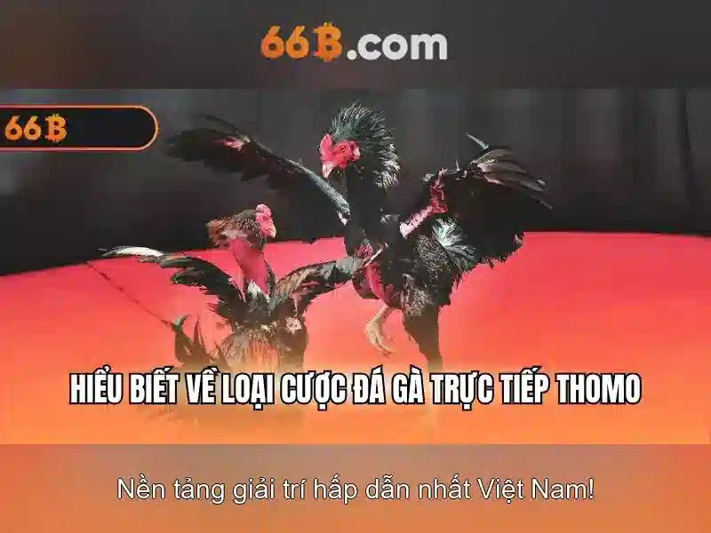 Việt Vị Trong Bóng Đá