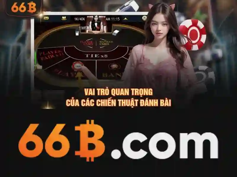 Giới thiệu về 66B