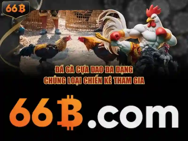 Giao diện trang chủ nhà cái 66b hiện đại và sang trọng
